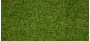 NOCH 07082 Herbe de champs, vert clair